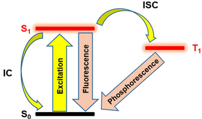 Jablonski diagram: upon excitation, the molecule turns to a singlet excited state (S1) from which radiative relaxation (fluorescence), irradiation-free relaxation (IC), and spin-forbidden intercombination conversion (ISC) to the triplet excited state T1 are possible