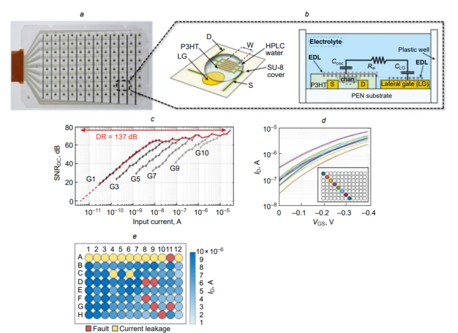 Sensor array based on 96 EGOFET devices[105]. (а) Picture of a flexible EGOFET array; (b) scheme of a lateral-gated EGOFET structure and its equivalent circuit; (с) measured signal-to-noise ratio (SNR) and dynamic range (DR) of the silicon integrated circuit at various gains (G); (d) typical transfer curves of EGOFET at various points of the array; (e) performance of the device determined by measuring the highest drain current in the array.