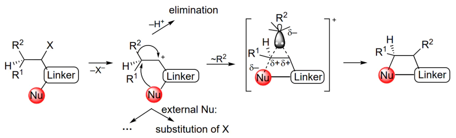 Pathways of transformation of electron-deficient intermediates.