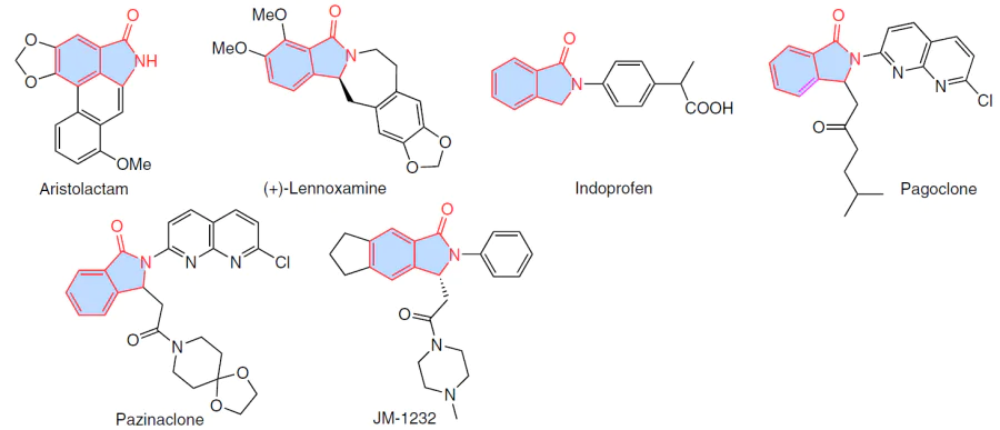 Isoindolinone derivatives with bioactive privileged scaffolds