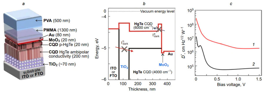 Photodiode with a unipolar energy barrier at the TiO2/HgTe CQD contact with unipolar conduction and an additional barrier at the MoO3/Au contact: (a) photodiode structure; (b) energy diagram of the structure; (c) specific detectivity: (1) for the photosensor shown in Fig. 27a, (2) for the photosensor shown in Fig. 26a[188, 189]. PVA is poly(vinyl acetate), PMMA is poly(methyl methacrylate).