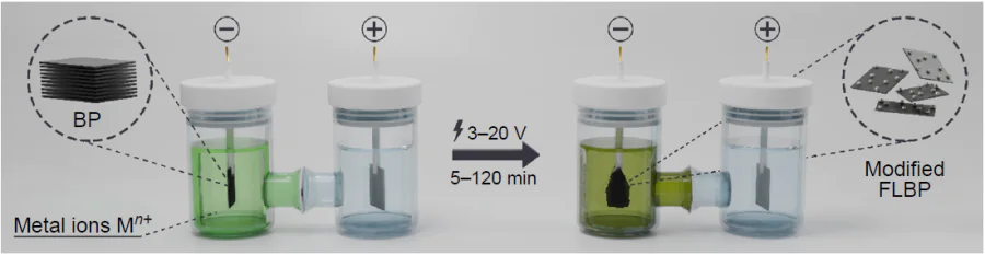 Electrochemical modification of few-layer black phosphorus