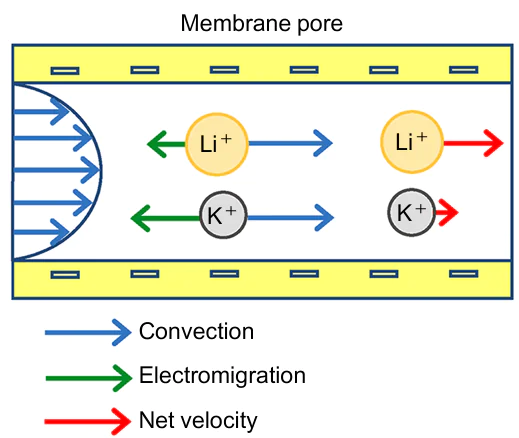 Schematic representation of the velocities of ions separated by induced electromigration within a pore.287 Electromigration is caused by the appearance of a streaming potential