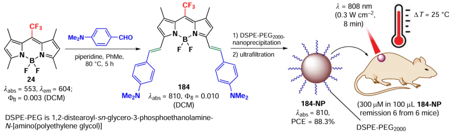 Schematic of BODIPY 184 synthesis and in vivo action of 184-NP nanoparticles. The figure created by the authors based on the data of the publication34.