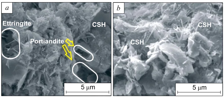 SEM images of cured soil samples treated with CRH40 binder for 7 (a) and 28 days (b). Reproduced from Ref. 305 under the Creative Common 4.0 license.