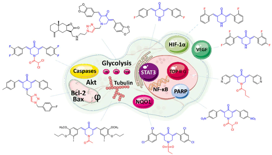 Molecular mechanisms of antitumour action of MACs and examples of chemical structures presented in the review