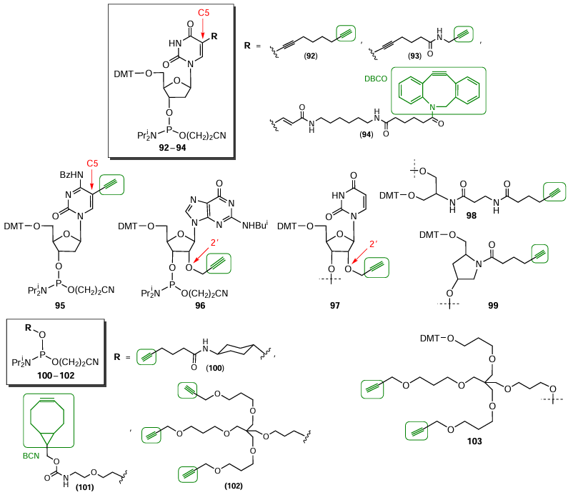 Structures of commercially available alkynyl-containing modifiers 92 – 103 used in automated synthesis