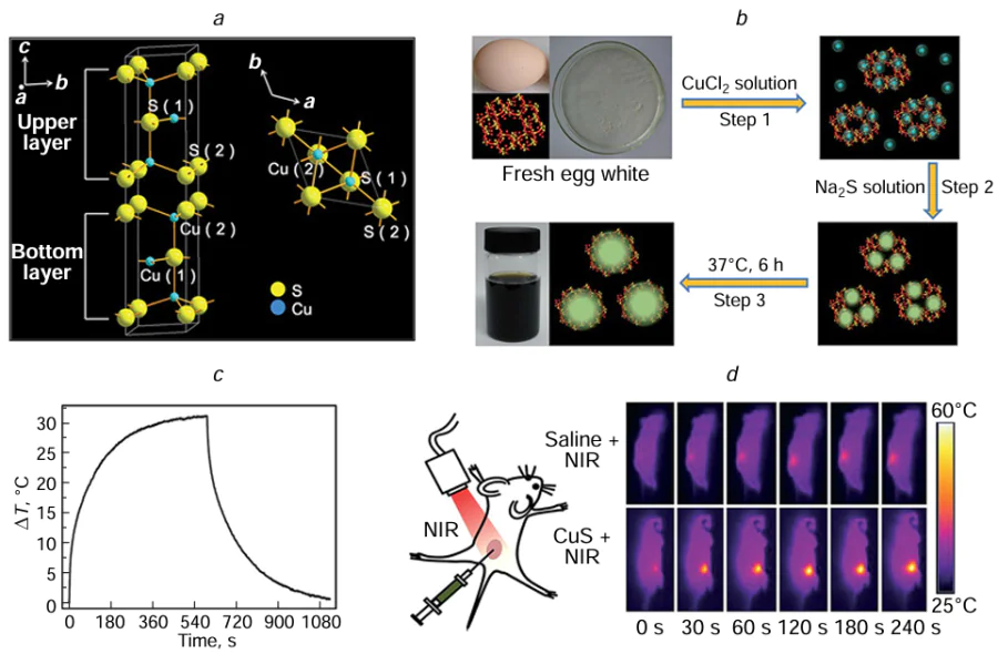 (a) Crystal structure of CuS (covellite). (b) Schematic illustration of synthesis of CuS QDs. (c) Temperature of aqueous dispersion of CuS QDs (0.75 mg mL−1) as a function of time after 980 nm (0.44 W cm−2) laser irradiation for 10 min. (d) Thermal images of mice injected with saline or CuS QD solution at different irradiation times with 980 laser (0.44 W cm−2). Reproduced from Zhong et al.;190 copyright (2016) the Royal Society of Chemistry.