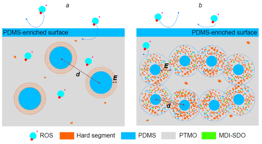 Schematic view of the putative microphase morphology of PDMS-PTMO-MDI copolymers without (a) and with (b) the trisiloxane modifying agent.92 Elsevier B.V., 2022.