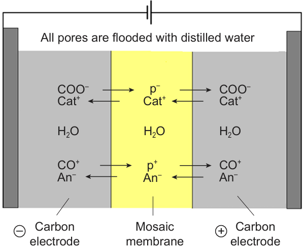 Operation of a water-flooded membrane electrode assembly containing two AC electrodes and a mosaic membrane. Designations: Cat+ are cations, and An– are anions, p+ are counter cations, p– are counter anions.83