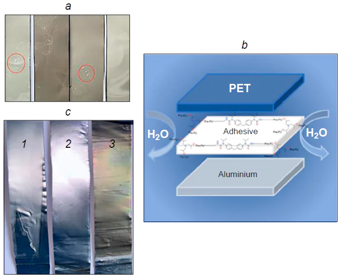 (a) Appearance of supported polyurethane-urea-siloxane coatings with various siloxane contents (the defects in the coating are circled in red); (b) structure of the outer layer of the aluminium – plastic coating; (c) samples: (1) control sample without heating; (2) after heating for 4 h in deionized water at 60°C; (3) after heating for 72 h. In the initial state, the cohesive destruction is observed (the presence of adhesive remainder on the aluminium surface), whereas after wet heat treatment (60°C, 4 and 72 h), the destruction becomes adhesive, which is caused by weakening of the interfacial interaction because of hydrolysis. Long-term treatment also causes surface darkening due to the oxidation of the aluminium foil.82 Wiley Periodicals LLC, 2024.
