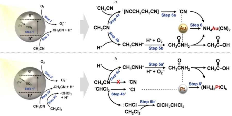 Mechanism of photoleaching of Au in MeCN (a) and Pt in a mixed solution of MeCN and DCM (b).47 Copyright belongs to Wiley.
