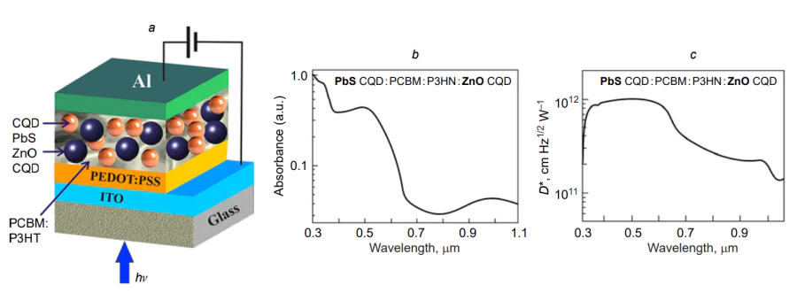 Photovoltaic cell with active absorption region based on the PbS CQD:PCBM:P3HT:ZnO CQD mixture with bulk heterojunction: (a) cell architecture; spectral dependences of the (b) absorbance and (c) specific detectivity[199].