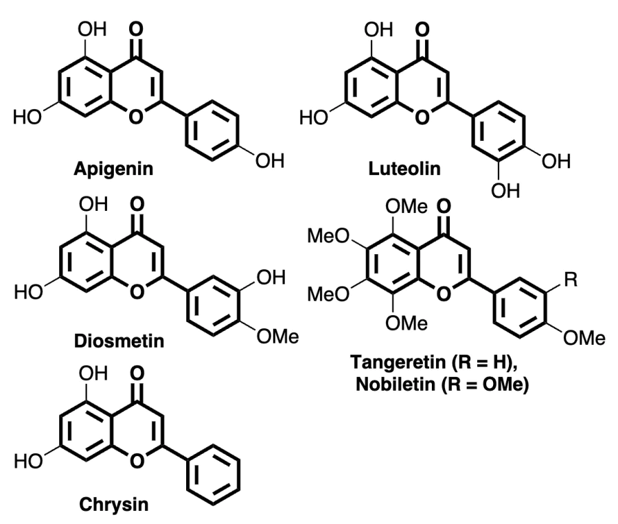 Flavones of plant origin.