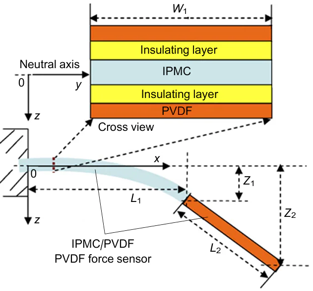 Structure diagram and elastic beam bending of PVDF based mechanoelectric sensor actuator for biomedical application.371 L1 and Z1 are the length and displacement of the bending structure, L2 and Z2 are the length and displacement of the rigid beam. Published with permission from Elsevier.