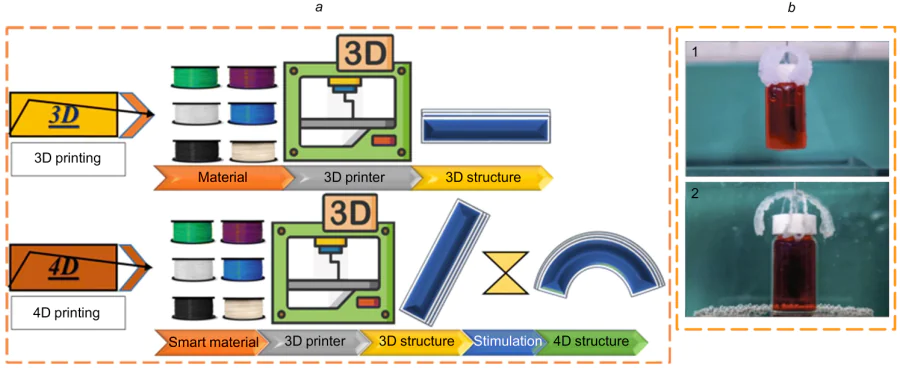 Schematic comparison of 3D and 4D printing (a)280 and photographs of a clamping unit fabricated by 4D printing (b), which grasps a vial in air at room temperature (1) and releases it into water at 70 °C (2).316 Figure a is published with permission from Springer Nature, Fig. b is published with permission from Wiley.