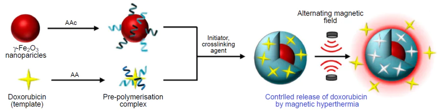 Schematic diagram of the synthesis of hybrid MIPs for the delivery and controlled release of doxorubicin induced by alternating magnetic field.226 Published under the CC BY license.