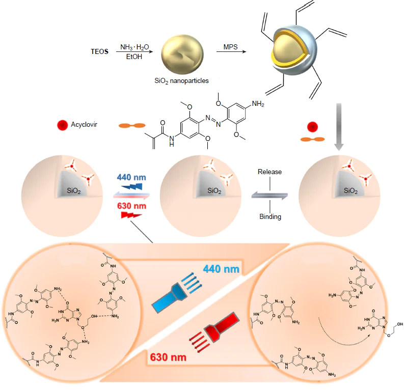 Schematic diagram of the synthesis of hybrid MIP and mechanism of light-induced acyclovir release.222 Copyright 2018, American Chemical Society.