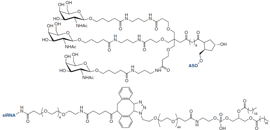 Structures of TriGalNAc (above) and siRNA lipoconjugate (below)