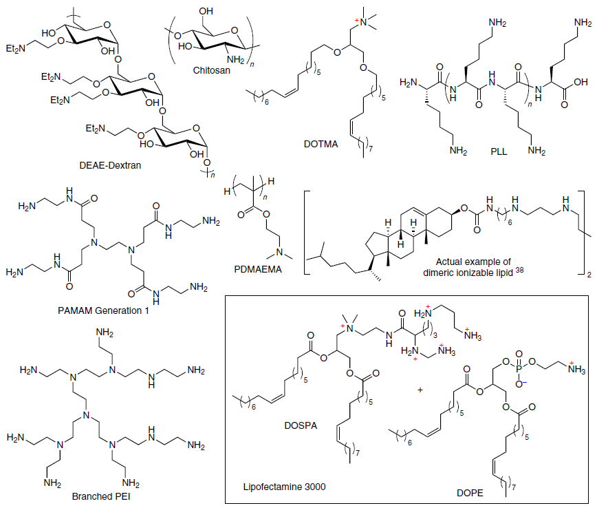 Structures of DEAE-dextran, chitosan, DOTMA, PLL and PDMAEMA polymers, branched PAMAM and bPEI, dimeric ionizable lipid, and the Lipofectamine 3000 formulation