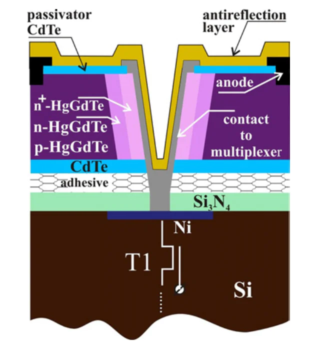 Hybridization of a p-n-n+ avalanche photodiode with the input to silicon readout circuit by the HDVIP process without using columnar (or spherical) indium bumps (in relation to the CdTe/ HgCdTe array). The Figure was created by the authors using published data[52-54].