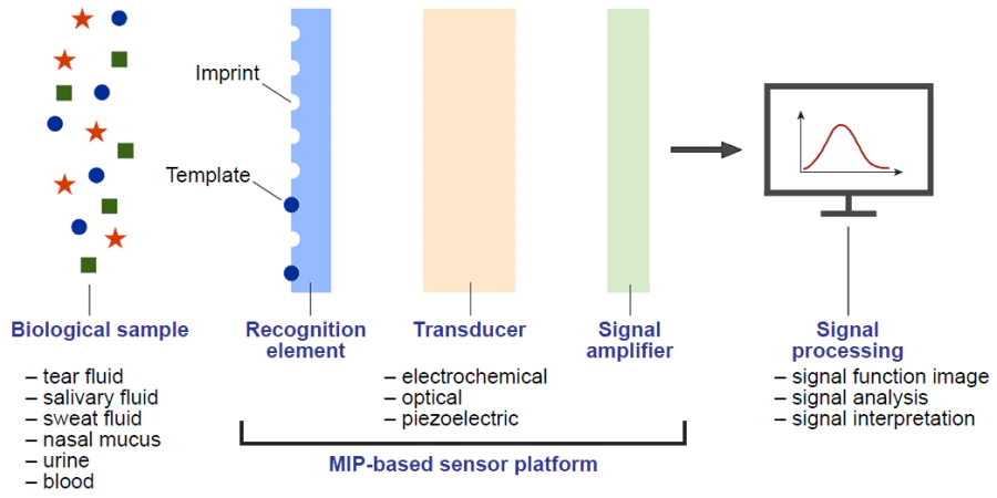 General schematic diagram of the diagnostic process using MIP-based sensor platforms
