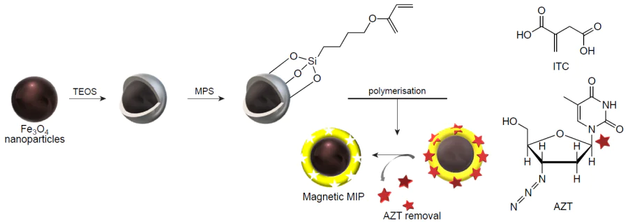 Schematic diagram of the synthesis of hybrid MIPs for the delivery and increase in the therapeutic efficacy of azidothymidine. ITC is itaconic acid, AZT is azidothymidine.219