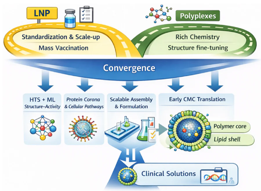 Schematic picture of LNP and polyplex benefits and pathways of clinical development