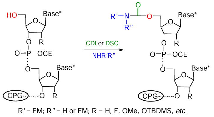 Scheme of 5'-functionalization of NA in a heterogeneous process