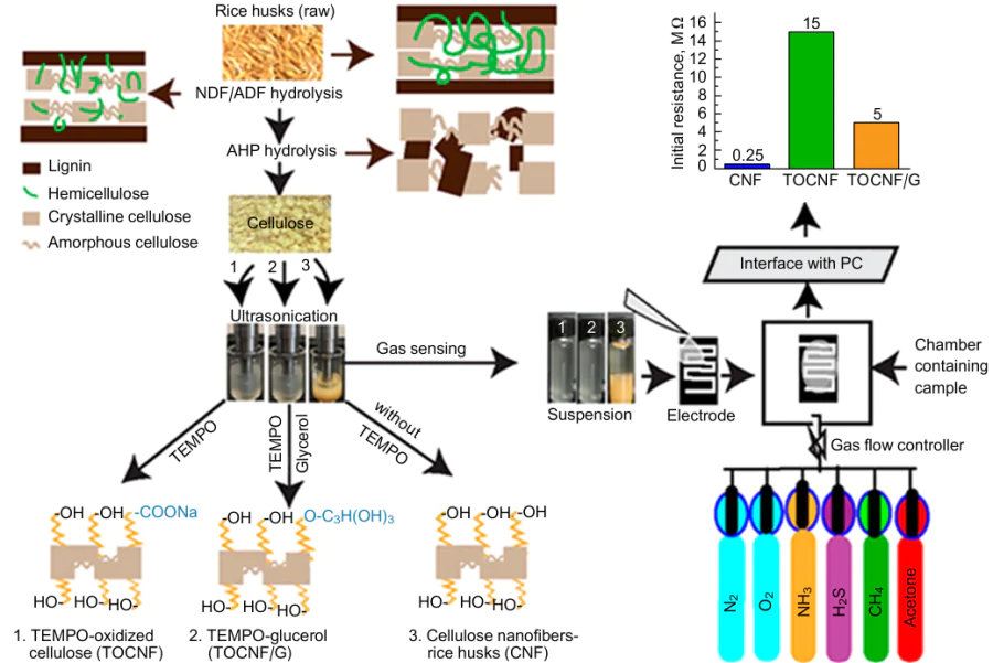 Application of CNF and modified CNF in sensors for various gases.222 Published in accordance with the Creative Commons Attribution license CC BY 4.0