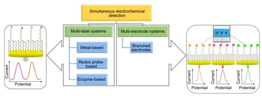 Methods of simultaneous electrochemical detection of analytes using aptamers[151].