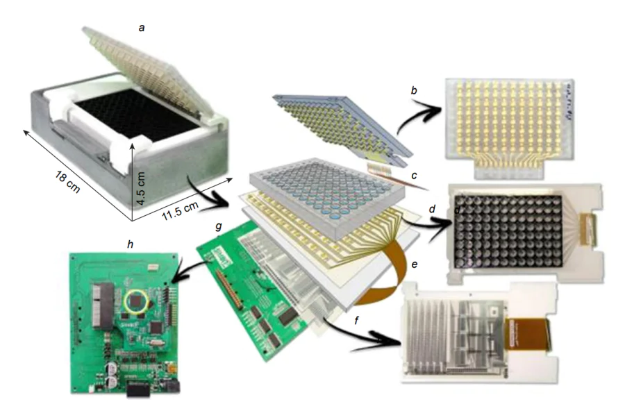 Structure of SiMBiT bio-electronic platform (96 devices)[105]. The layer-by-layer model of the system (а) includes the following parts: 3D-printed array of biofunctionalized sensing gates covering an immunosorbent assay plate (b), spring-loaded pin connectors (c), EGOFET array (d), flat cable (e) connecting the biosensor array to the multiplexing electronics based on unipolar OTFT technology (FlexEnable Technology®) (f); printed circuit board (g) with a custom integrated chip (h).