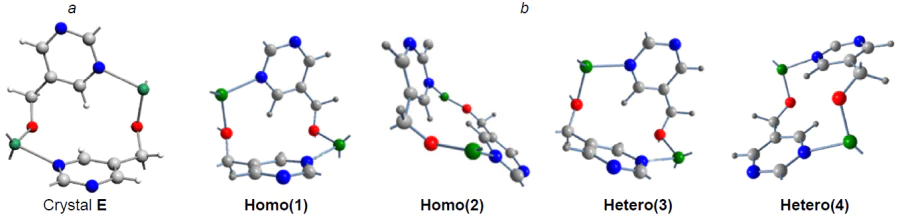 Homochiral tetramer framework (with opposite chirality sign) found in the crystal structure of E (а).65 Сopyright Chemical Society of Japan 2016. Macrocycle structures calculated using the B3LYP/6-31G* method (b).2, 59 Сopyright American Chemical Society 2012.