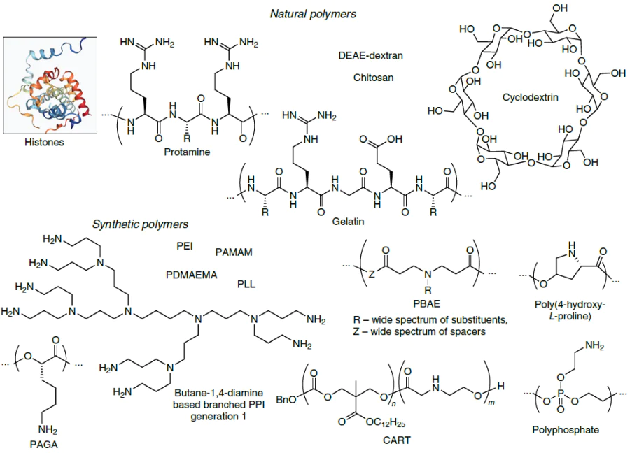 Main structural types of polymeric NA carriers