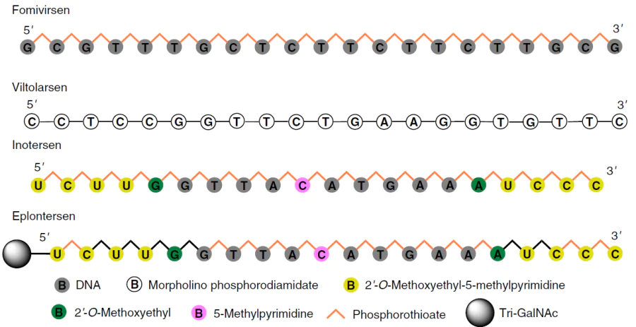 Structures of pharmaceutical agents based on antisense oligonucleotides