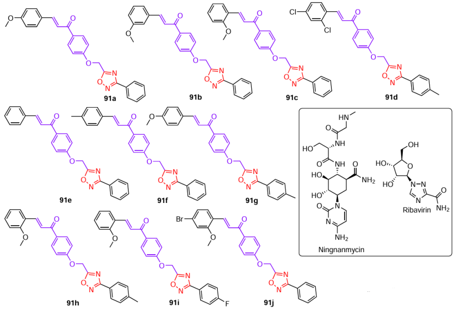 Structures of hybrids 91 with high antiviral activity and active ingredients of commercial agents (drawn in the box).51