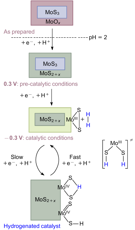 Proposed mechanism of the catalysis in the HER reaction involving (S-S)2- disulfide groups as active sites of H2 formation. The Figure was prepared by the authors using original data from the cited publication.133