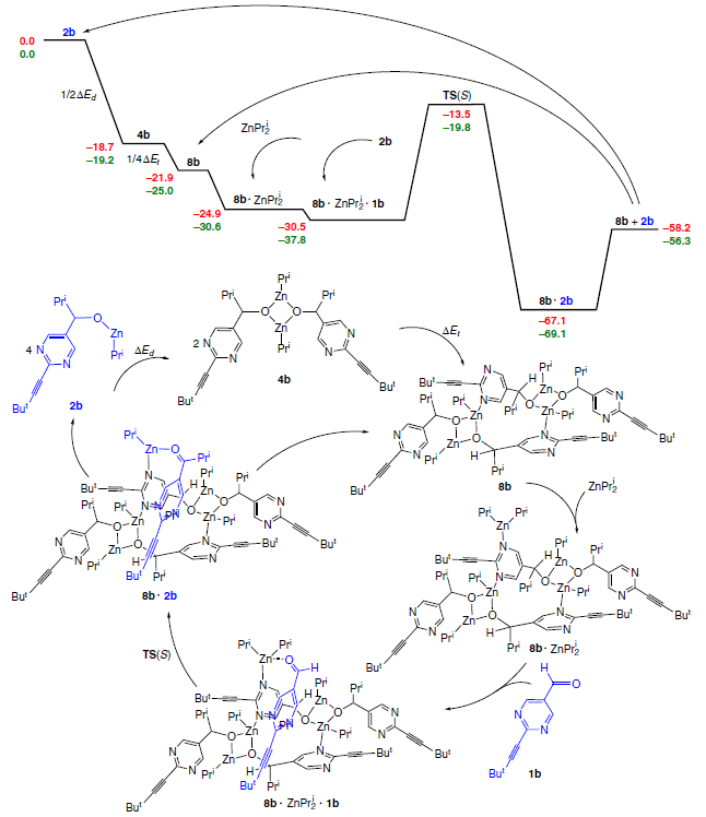 Reaction energy profile and catalytic cycle for the direct alkylation of an aldehyde coordinated to diisopropylzinc.59 Сopyright American Chemical Society 2012.
