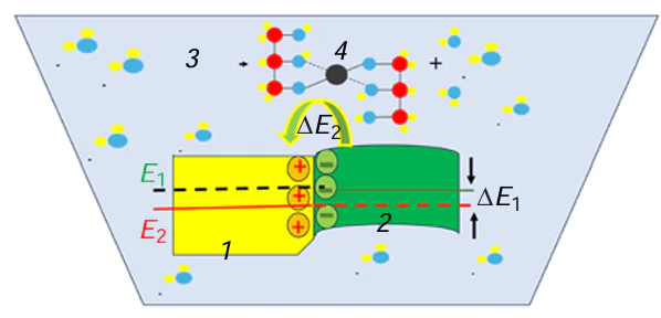 Diagram of direct charge transfer across the boundary between two contacting solid phases and facilitated charge transfer through reaction or analyte mixtures. Е1 and Е2 are average energies of charge carriers in the contacting phases 1 and 2; 3 is the reaction medium containing objects of catalysis or analytes 4, ΔЕ1 > ΔЕ2 .