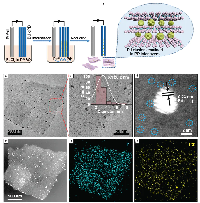 Electrochemical intercalation of Pd nanoclusters between the FLBP layers (a); TEM images of Pd-i-BP particles on a different scale (b, c); aberration-corrected HAADF-STEM image of Pd-i-BP species (single atoms or small Pd clusters are marked with light blue circles) (d); STEM images of Pd-i-BP particles (e) and EDS mappings (f, g) of the corresponding areas.143 Published under a CC BY-NC 4.0 license from AAAS.