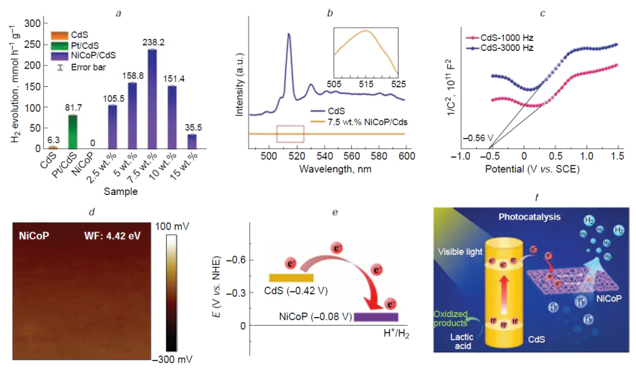 Charge transfer behavior and enhanced photocatalytic H2 evolution in TMP-based cocatalyst systems. Photocatalytic H2 evolution rates for CdS containing different amounts of a cocatalyst and 7.5 wt.% Pt/CdS under visible light irradiation (a). PL spectra of CdS and NiCoP/CdS (b). Mott-Schottky plots of CdS (c). Surface potential mappings of NiCoP (d). Energy level diagram of CdS and NiCoP (e). Schematic illustration of the photogenerated charge transfer between CdS with NiCoP cocatalyst under visible light irradiation (λ≥420 nm) (f). Reproduced from Lv et al.136 with permission from Wiley.