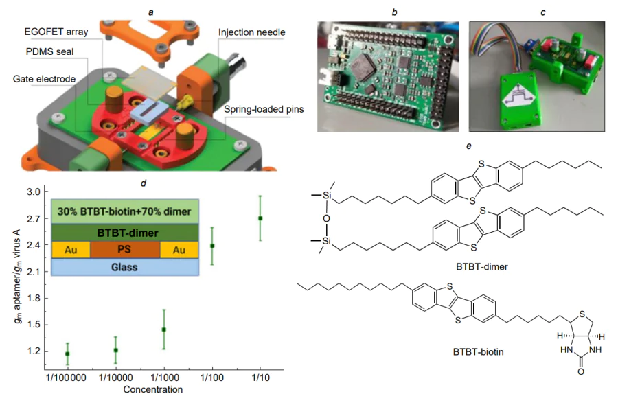 EGOFET-based aptasensor for the detection of influenza A virus[85]. (а) 3D model of a flow cell; (b) photo of the measurement board; (с) appearance of the cell; (d) calibration curve for determination of influenza A virus, gm is the transconductance for measuring the aptamer- or influenza A virus-containing layer on the transistor surface; (е) structural formulae of the materials of the sensor active layer. ВТВТ is 2,7-dioctyl[1]benzothieno[3,2-b]benzothiophene.