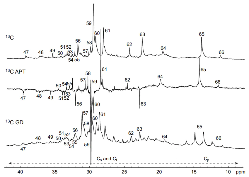 Labeling peaks in the 13C NMR spectra (175 MHz, CDCl3) of a crude oil sample (highfield aliphatic area). Reproduced from Rakhmatullin et al.[48] under the CC BY-NC 4.0 International Public License.