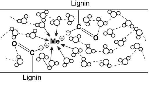 Proposed scheme of intermolecular bonding in lignin hydrogels.106