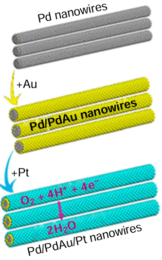 Schematic view of the Pd/PdAu/Pt NW/C nanoparticles.174