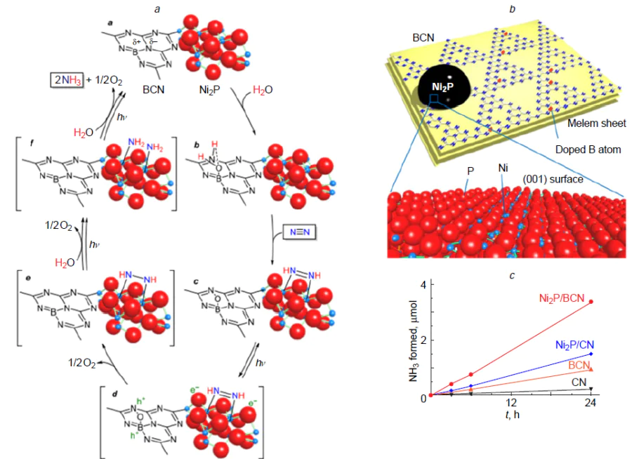 Photocatalytic N2 reduction performance and mechanism of the Ni2P/BCN catalyst. Proposed mechanism of photocatalytic N2 reduction on Ni2P/BCN (a). Schematic of the Ni2P/BCN catalyst (b). NH3 production over time under light irradiation (c). Conditions: 100 mL H2O, 200 mg catalyst, N2 flow 0.3 L min–1, λ > 300 nm, 293 K. Reproduced from Shiraishi et al.146 with permission from the American Chemical Society.
