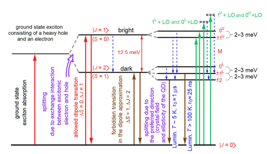 Energy diagram explaining the Stokes shift for exciton luminescence in colloidal CdSe QDs.