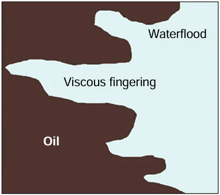 Viscous fingering effect upon water flooding of an oil formation.
