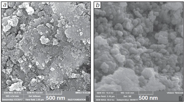 SEM images of fresh (a) and spent (b) catalysts. Darker areas correspond to polymer formations on the catalyst surface. Reproduced from Ref. 104 under a Creative Commons Attribution (CC BY) license.