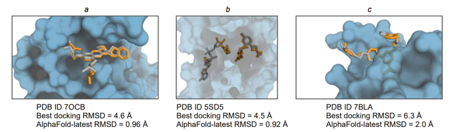 Examples of results from the AlphaFold-latest algorithm for ligand–protein complexes where correct poses could not be obtained using Vina and Gold